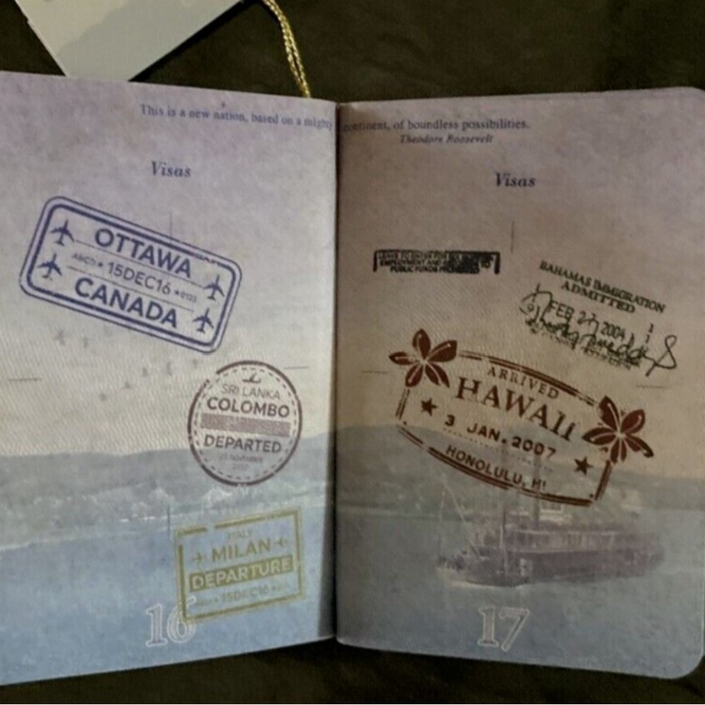 USA SANTA Passport Christmas Ornament ~ Realistic * World Travel ~ Wondershop - Picture 6 of 8